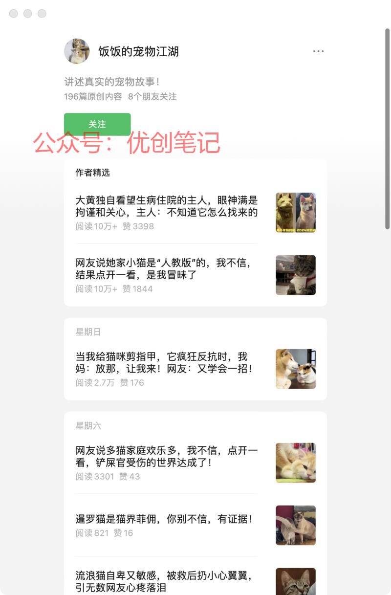 宠物故事赛道，写好宠物…#情报-搞钱线报📢论坛-网创交流-优创圈